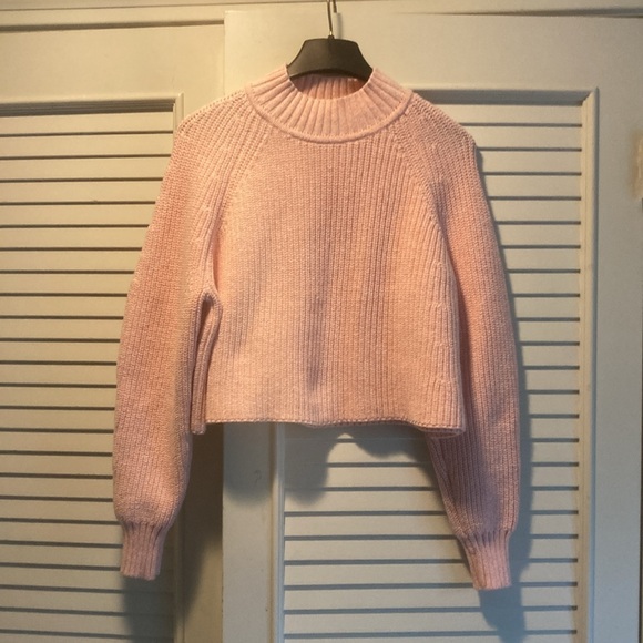 Club Monaco / Ralph Lauren Pink Crew Neck Sweater Ribbed Knit Medium l Like New - Picture 1 of 11
